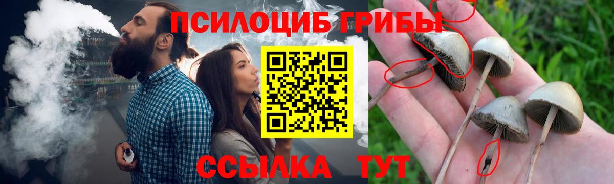 Псилоцибиновые грибы MAGIC MUSHROOMS  наркошоп  Троицк  Вход с VPN 